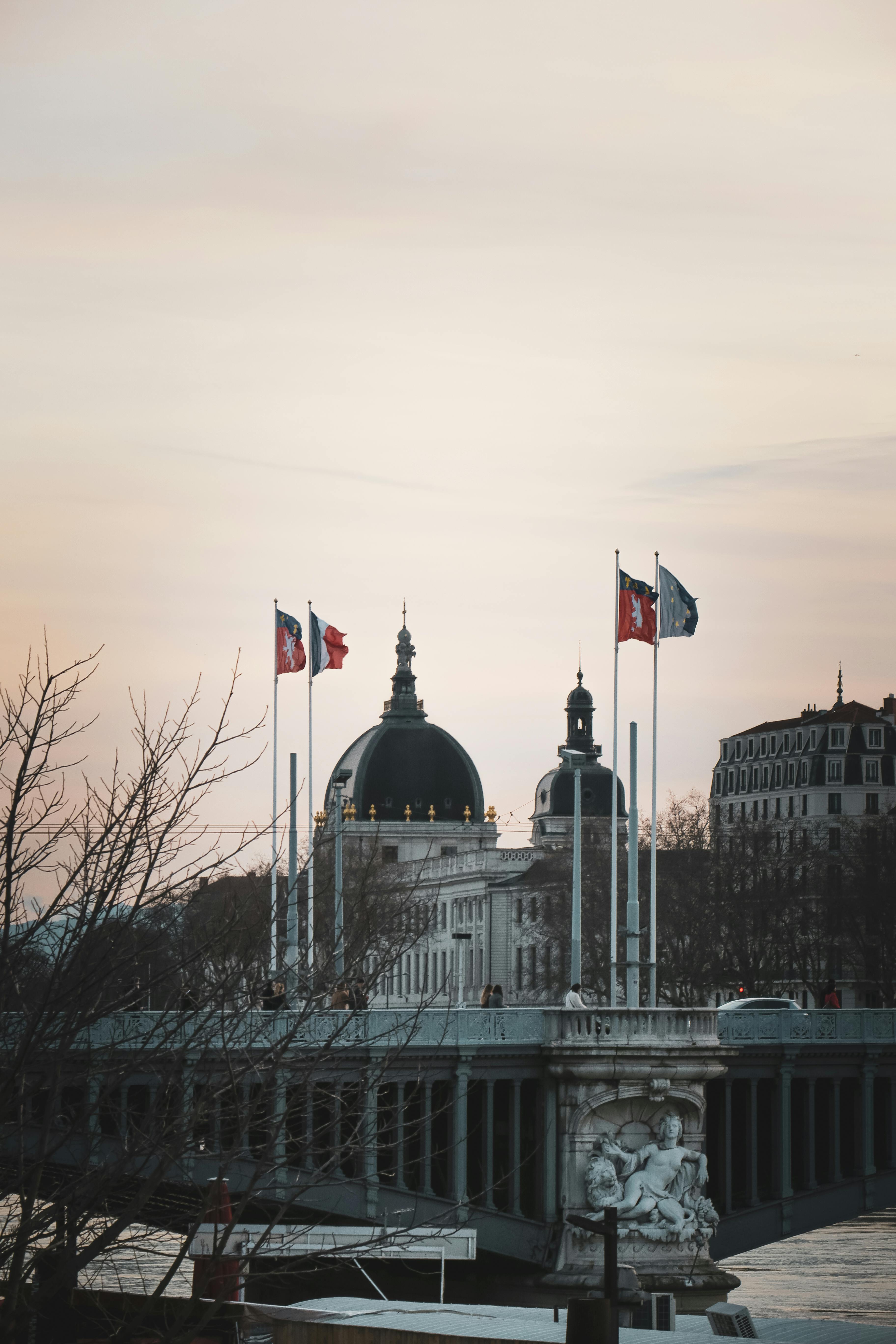 A beautiful shot of Lyon's architectural marvel and flags, capturing the essence of the city at dusk.