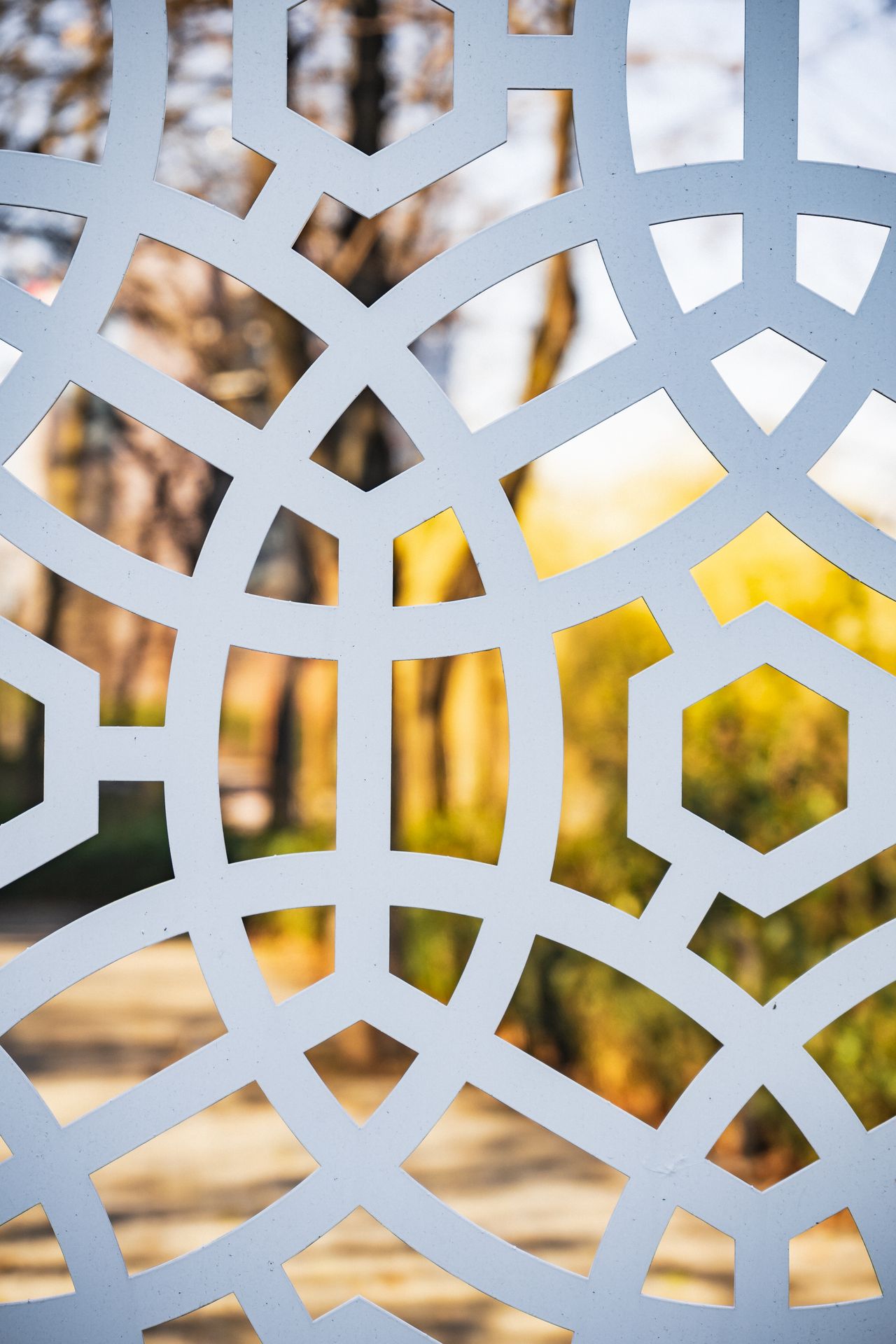 Close-up of a white laser-cut screen with an autumn park behind it