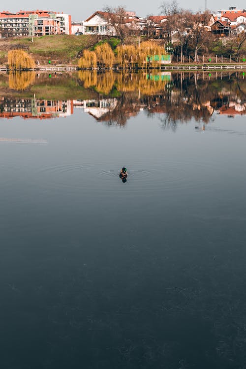 Peaceful village with calm lake and traditional houses on autumn day