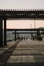 People Walking on Concrete Sidewalk