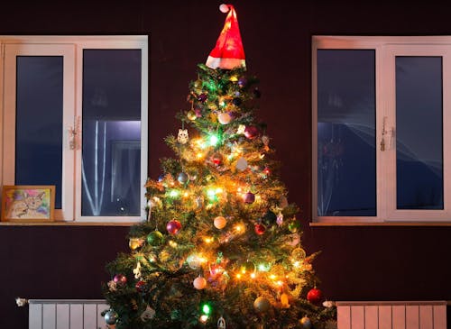 Free Green Christmas Tree With Red and White Baubles Stock Photo
