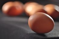 Brown Egg on Black Surface