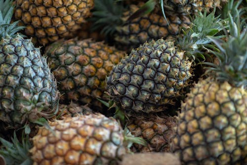 Bunch of Pineapple Fruits