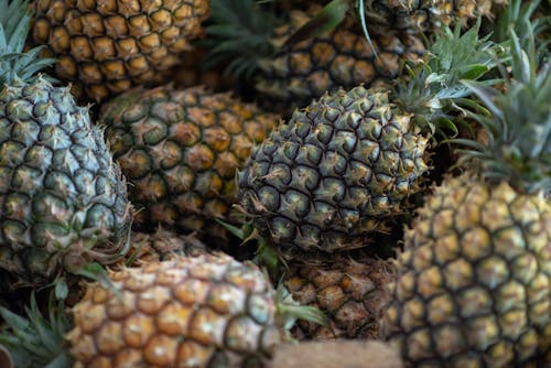 Foto profissional grátis de abacaxis, alimento, amarelo