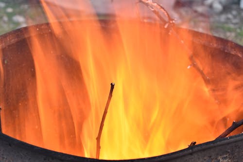 Free stock photo of burning wood, campfire, details