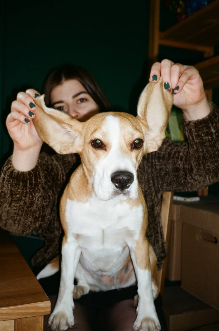 Woman Playing With Dog's Ears