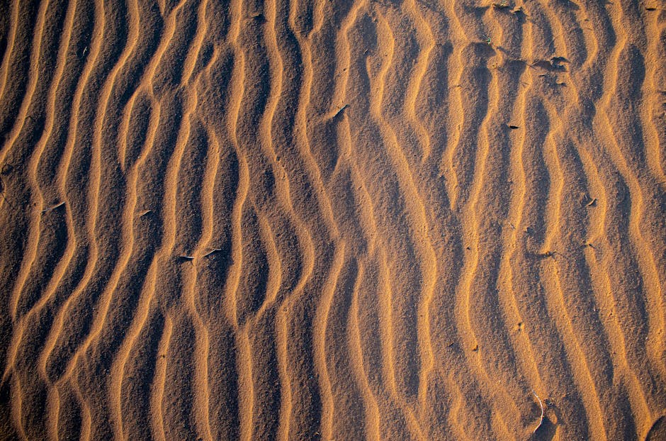 Aerial Shot of Sand Dunes · Free Stock Photo