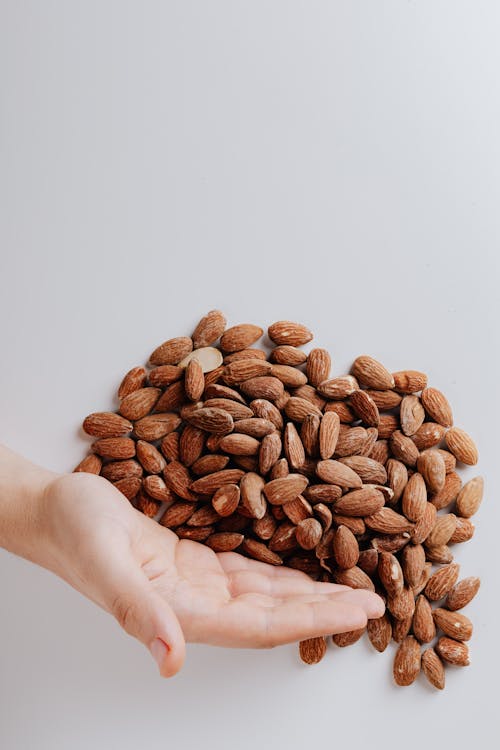 Brown Nuts on Persons Hand