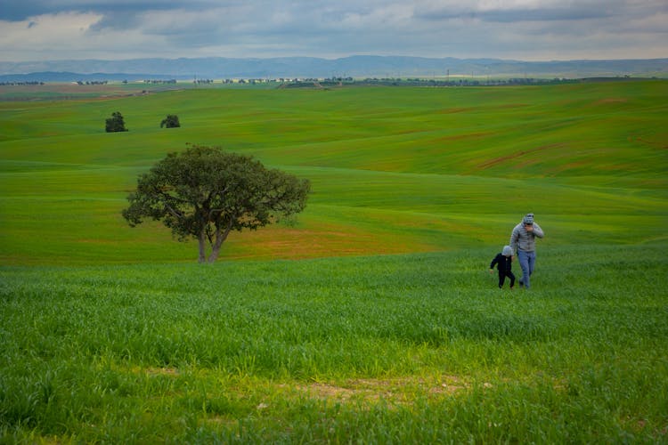 Family Walking On Green Grass Field