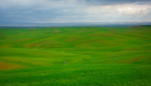 Green Grass Field Under Cloudy Sky