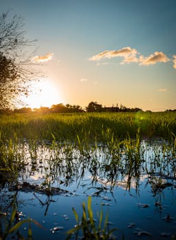 A tranquil sunset scene over lush wetlands with vibrant reflections and warm skies.