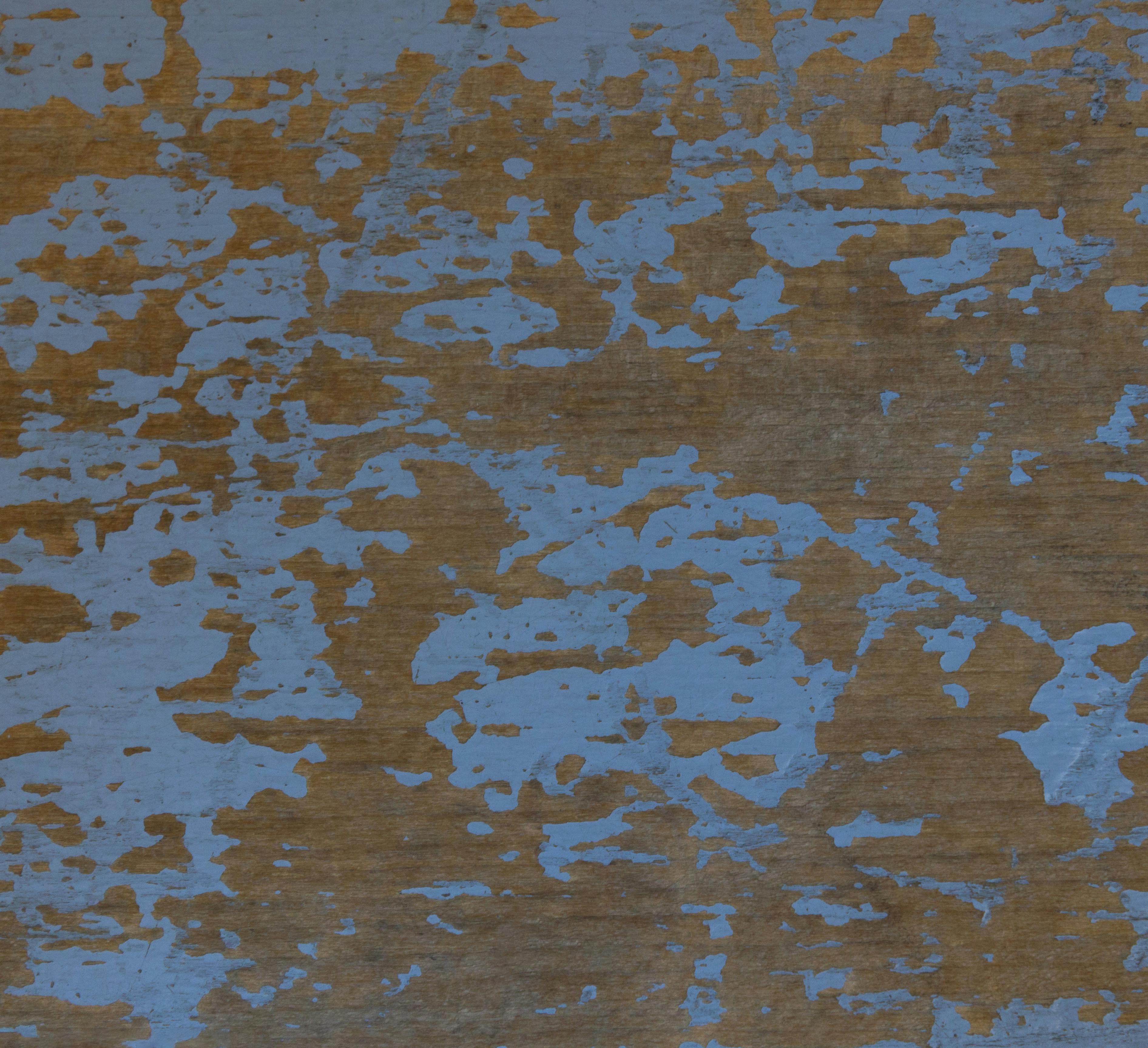 Monk teaching children