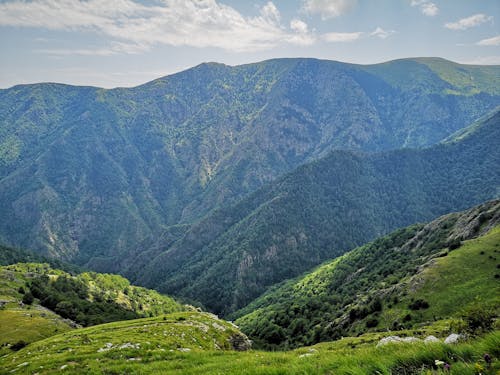 Бесплатное стоковое фото с гора, деревья, дневной свет