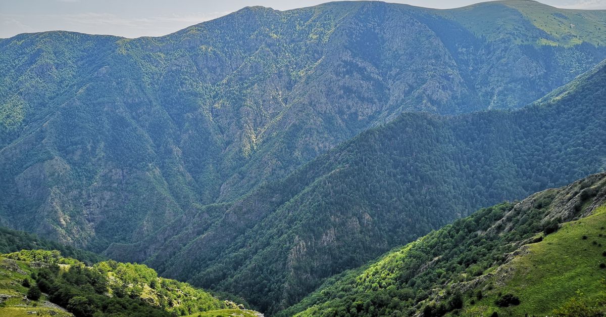 Green Grass Covered Mountain Free Stock Photo green-grass-covered-mountain-free-stock-photo