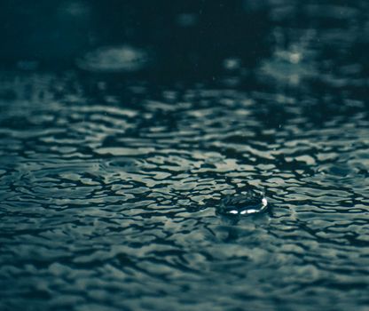 A close-up shot of raindrops forming ripples on a calm water surface, capturing the beauty of nature.