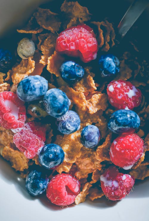 Free Blue and Red Berries with Cereals Stock Photo