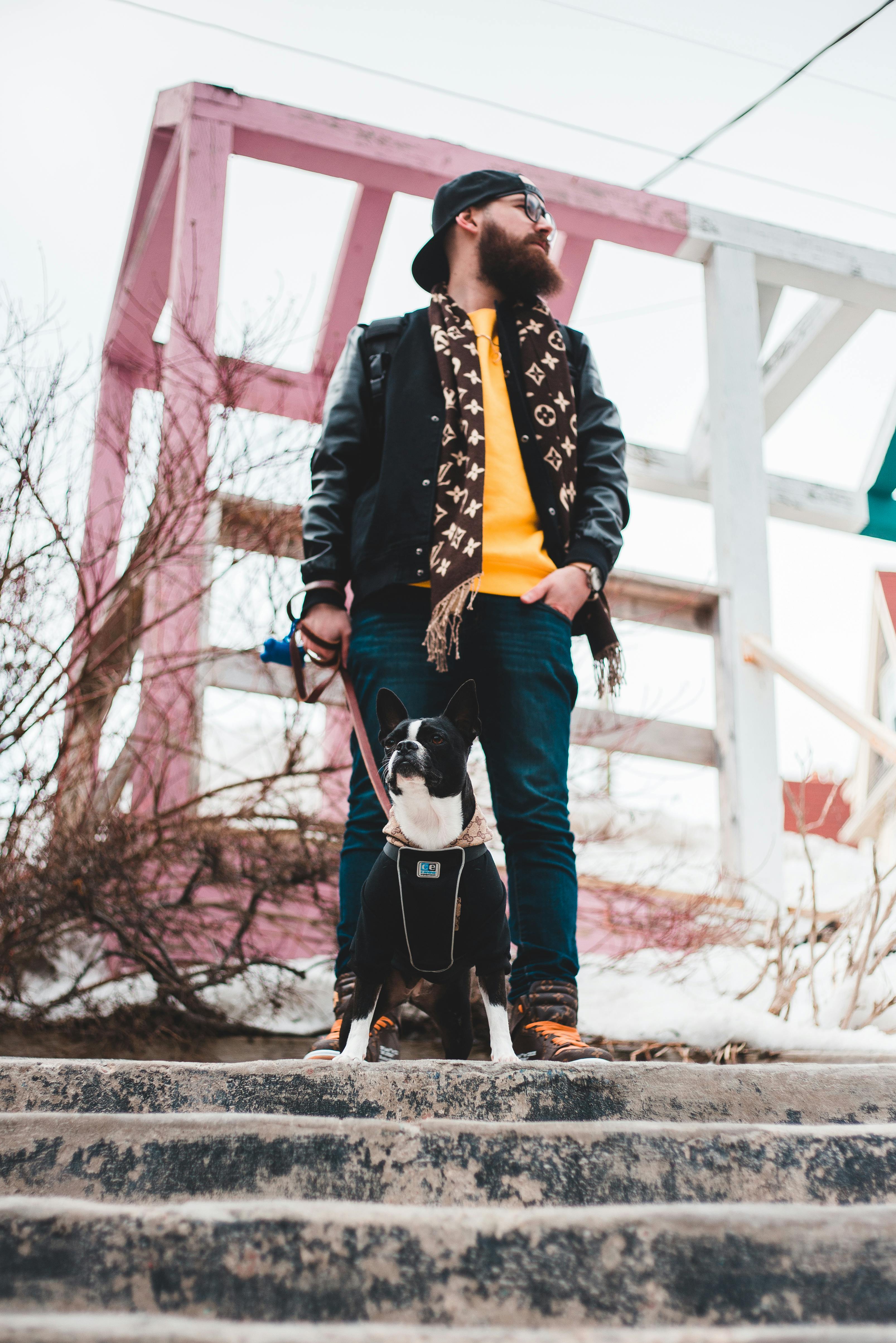 Stylish man with bearded look and French Bulldog on stairs during a fall day outdoors.