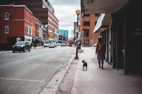 Woman in Brown Coat Walking on Sidewalk