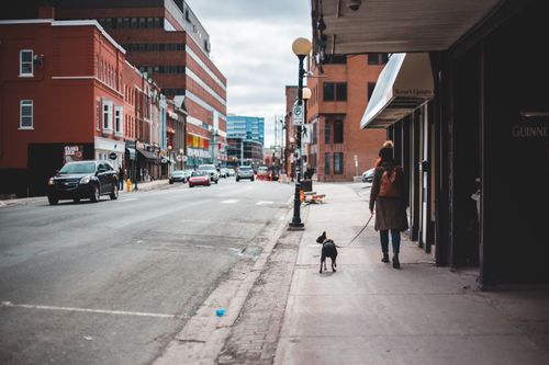 Free Woman walking a dog on a city street, capturing urban life and architecture. Stock Photo