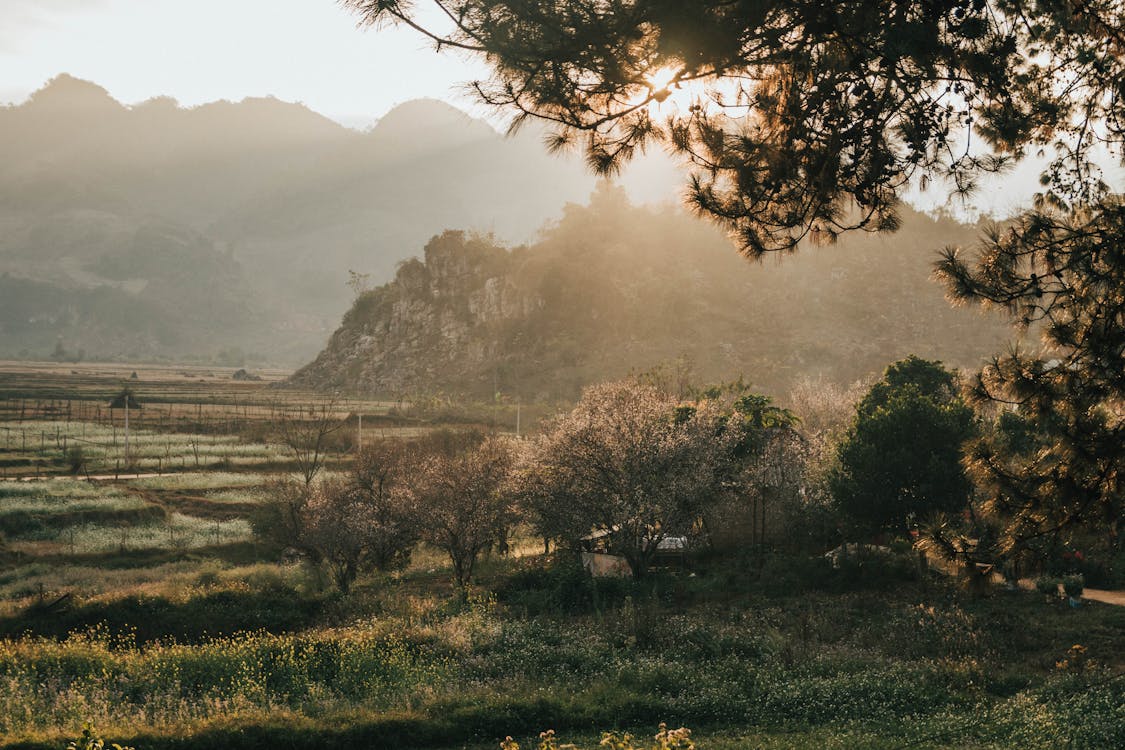 Free Green Grass Field Near Mountain Stock Photo