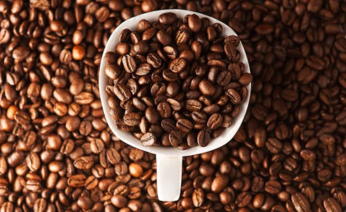 Coffee Beans on White Ceramic Mug