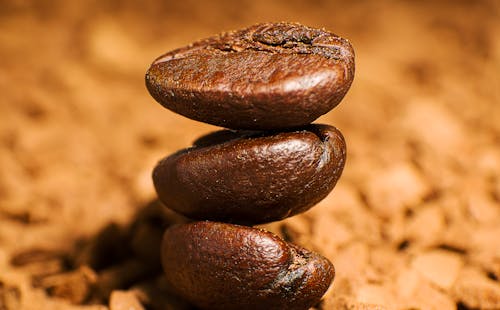 Free Brown Coffee Beans in Close Up Photography Stock Photo
