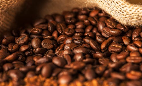 免费 canephora, 咖啡, 咖啡因 的 免费素材图片 素材图片