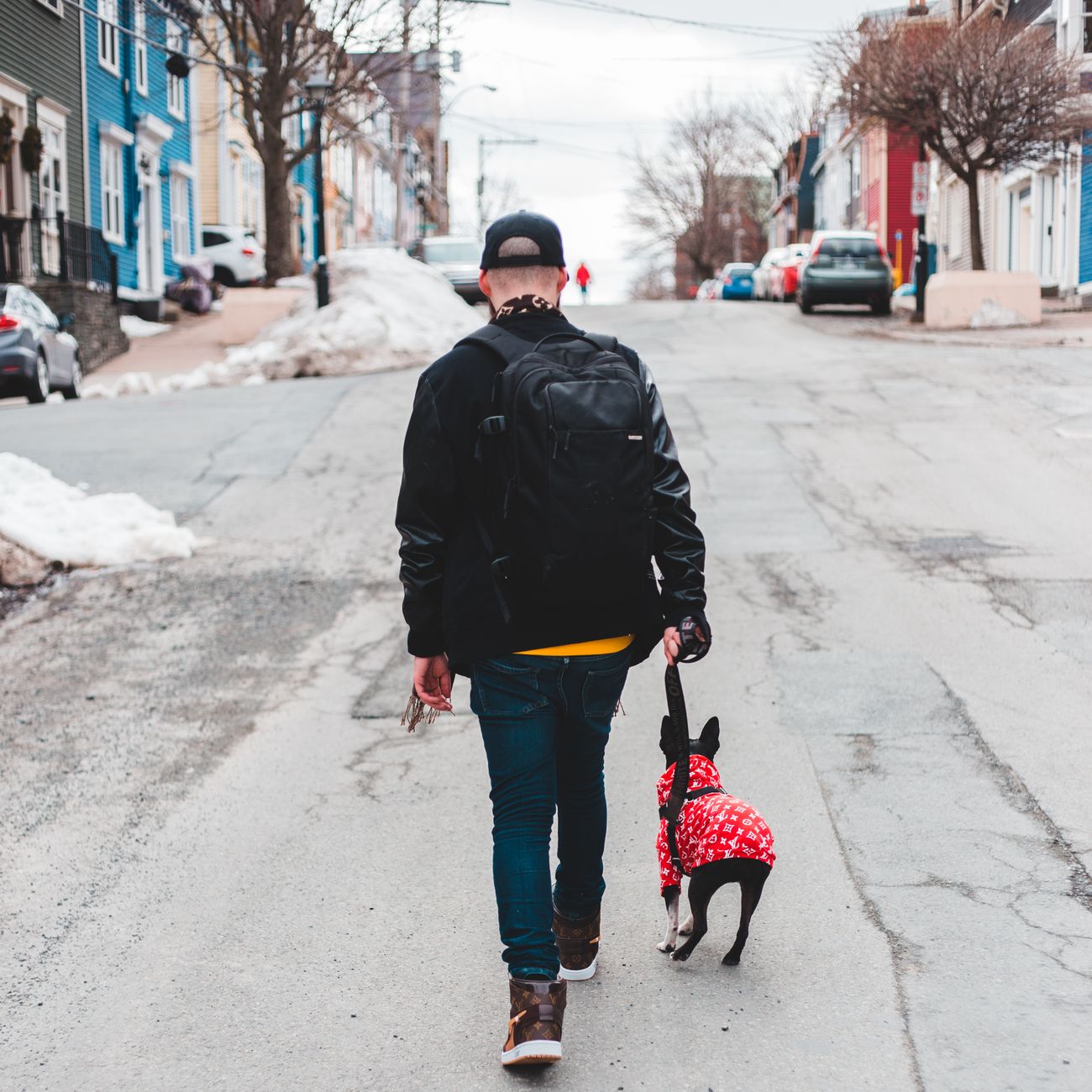 Man walking a Boston Terrier in a red jacket on a snowy urban street, showcasing winter fashion.