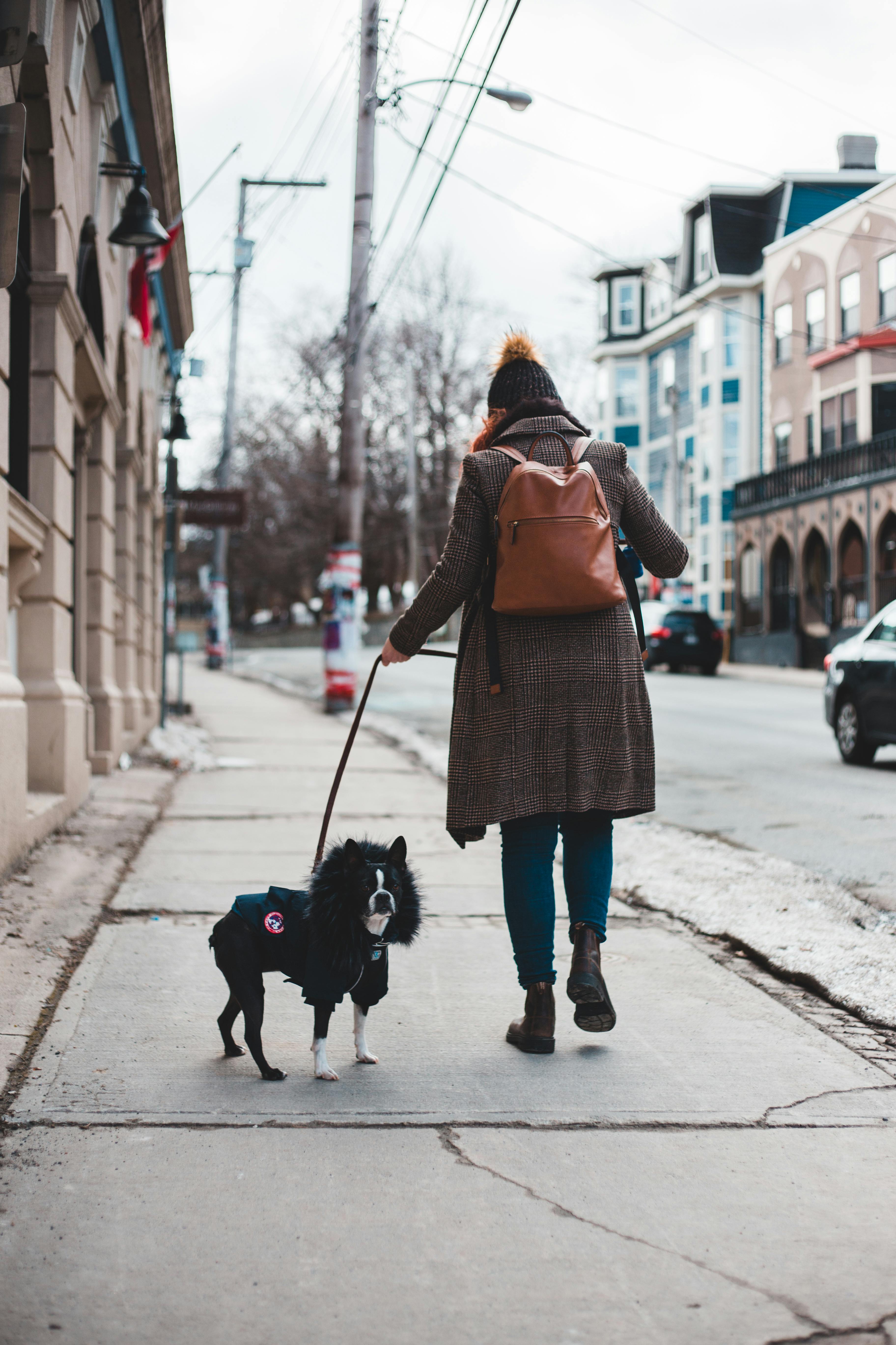 Woman in Brown Coat With Backpack Walking With Black Dog on Sidewalk