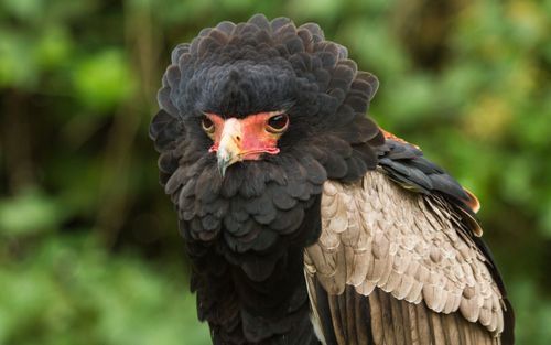 Free stock photo of black Stock Photo