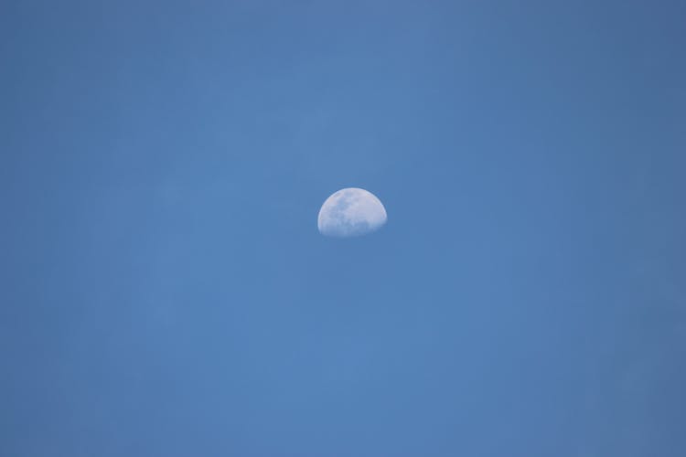 Half Moon On Blue Sky In Daylight