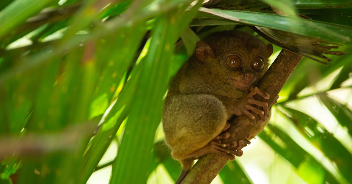 Les destinations les plus engagées en matière de biodiversité