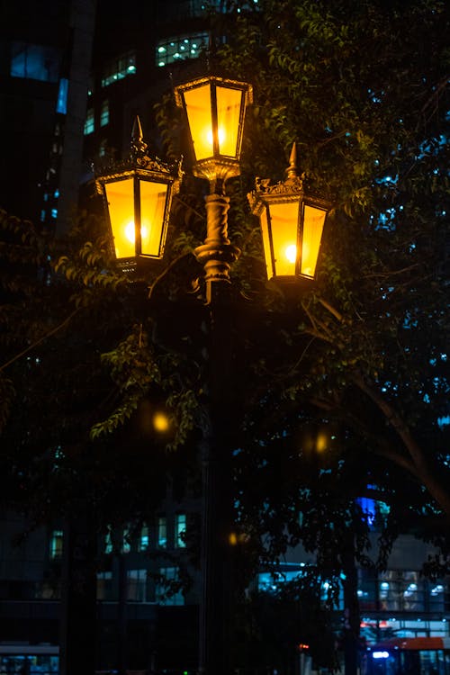 Decorative lanterns illuminating night city street