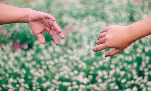 Free Two hands reaching towards each other against a blurred floral background, symbolizing connection. Stock Photo
