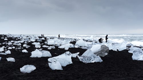 Ice Fragments on Black Sand of Diamond Beach in Iceland