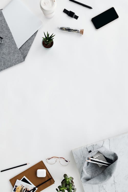 Green Potted Plant on White Table · Free Stock Photo
