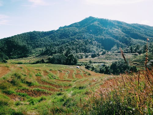 Picturesque view of green field located near mountainous land with forest in summer sunny day under sky with clouds