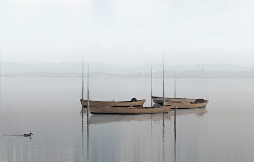 Gratis arkivbilde med båter, elv, himmel
