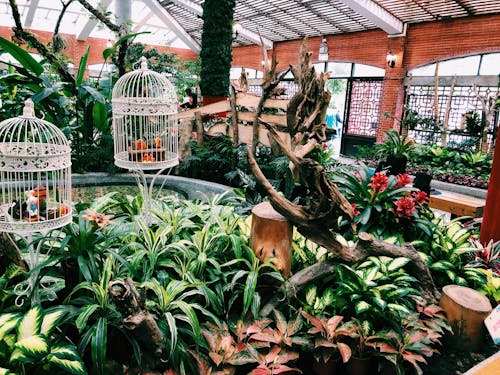 Different flowers growing in greenhouse in summer day