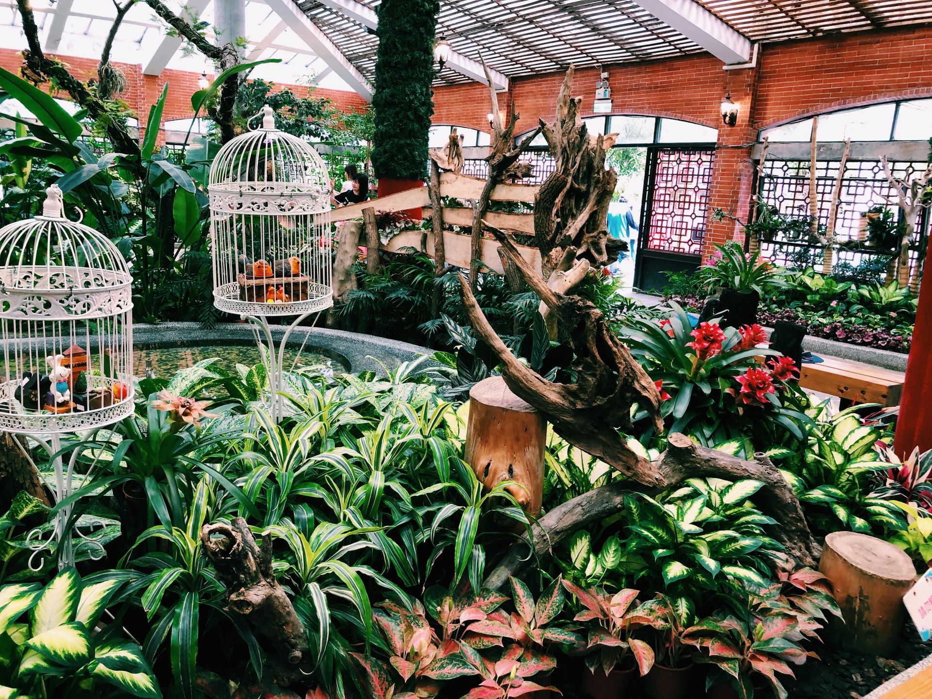 Lush indoor tropical garden with birdcages and colorful plants.