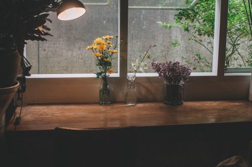 Free Composition of burning table lamp and different flowers in transparent glass vases on table near open window against gray wall and green shrub outside window Stock Photo