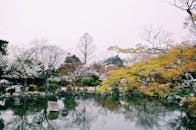 春天，宁静的日本花园里，樱花倒映在平静的池塘中