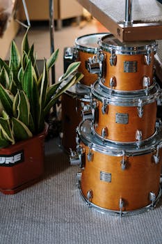 A home studio setup featuring wooden drums and a plant, perfect for music lovers.