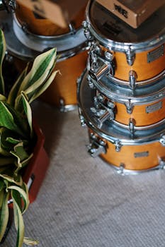 Vertical shot of wooden drums stacked with a houseplant, creating an artistic contrast in a music studio.
