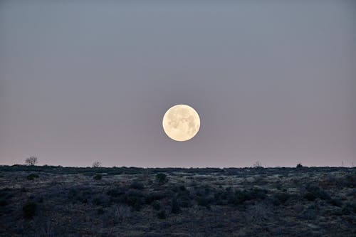 Gratis lagerfoto af ekstremt terræn, fuldmåne, horizon over land Lagerfoto