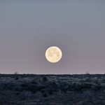 Rann Utsav Full Moon