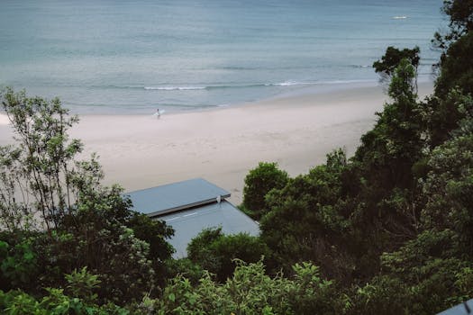A serene view of Byron Bay beach with surrounding lush greenery and a peaceful ocean backdrop.