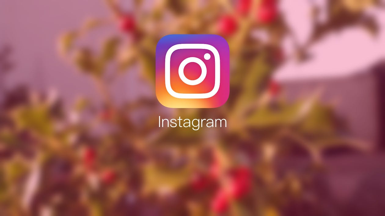 Free stock photo of instagram