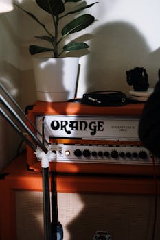 Orange guitar amplifier with a house plant on top, creating a cozy home studio vibe.