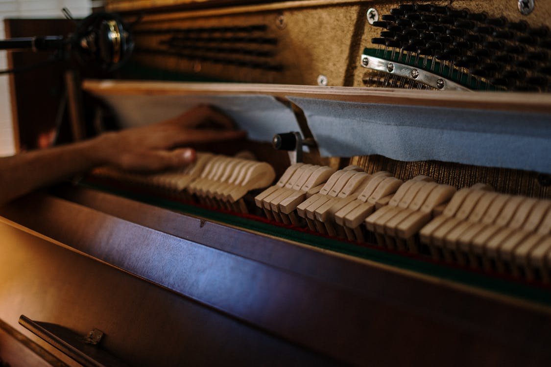 Foto d'estoc gratuïta de cordes, instrument, interior